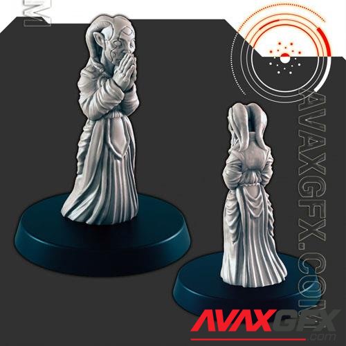 Sci-Fi Religious Alien Female Zealot 3D Print Model