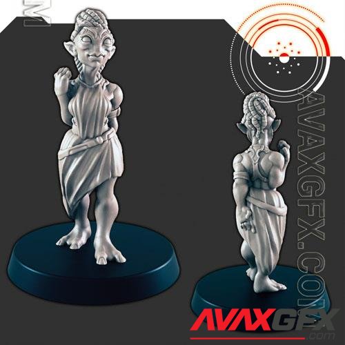 Sci-Fi Cantina Crew Courtesan 3D Print Model