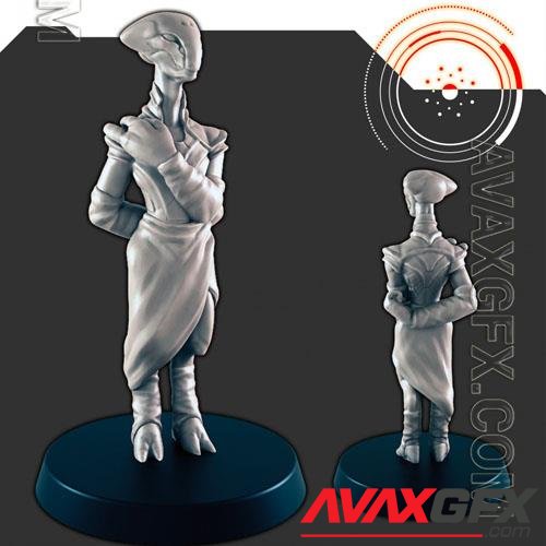 Sci-Fi Alien Delegation Oquiar Diplomat 3D Print Model