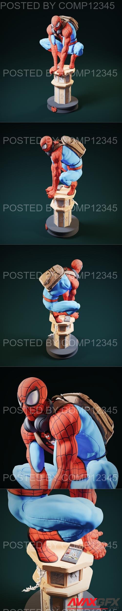 The Amazing Spider Man 3D Print