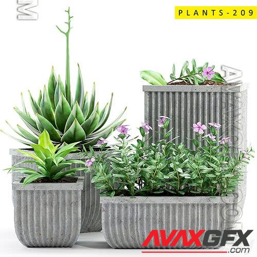 PLANTS 209 - 3d model