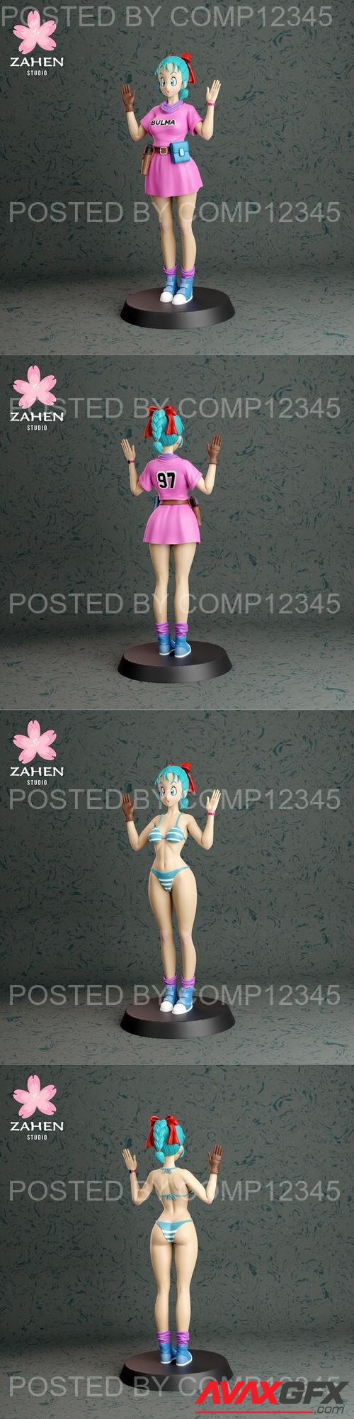 Bulma - Zahen Studio 3D Print