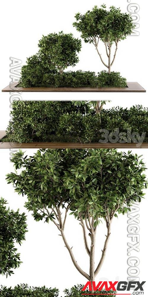 Garden set bush and Tree – Garden Set 07 - 3d model