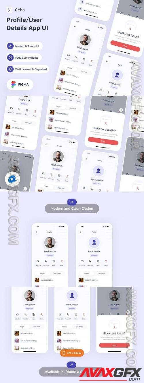 Ceha - Profile/User Details App UI WZ7DRXX