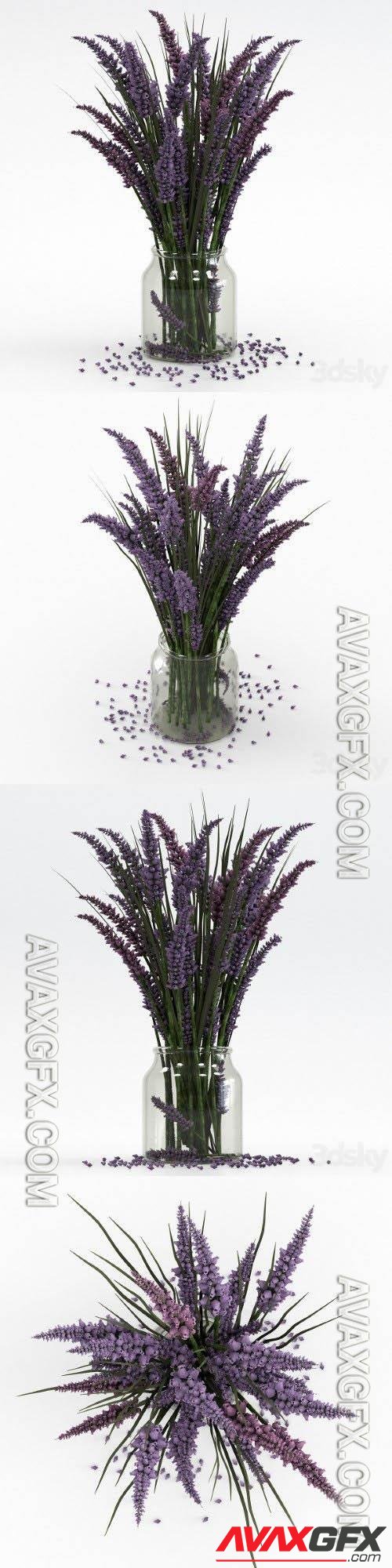 Bouquet of lavender