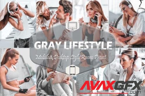 12 Gray Lifestyle Mobile & Desktop Lightroom Presets, Silver - 2576179