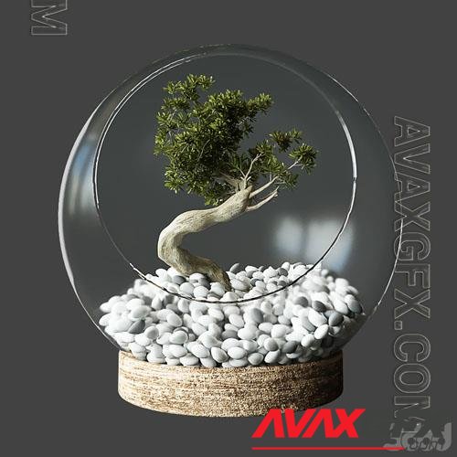 Little Tree In Glass Globe - 3d model