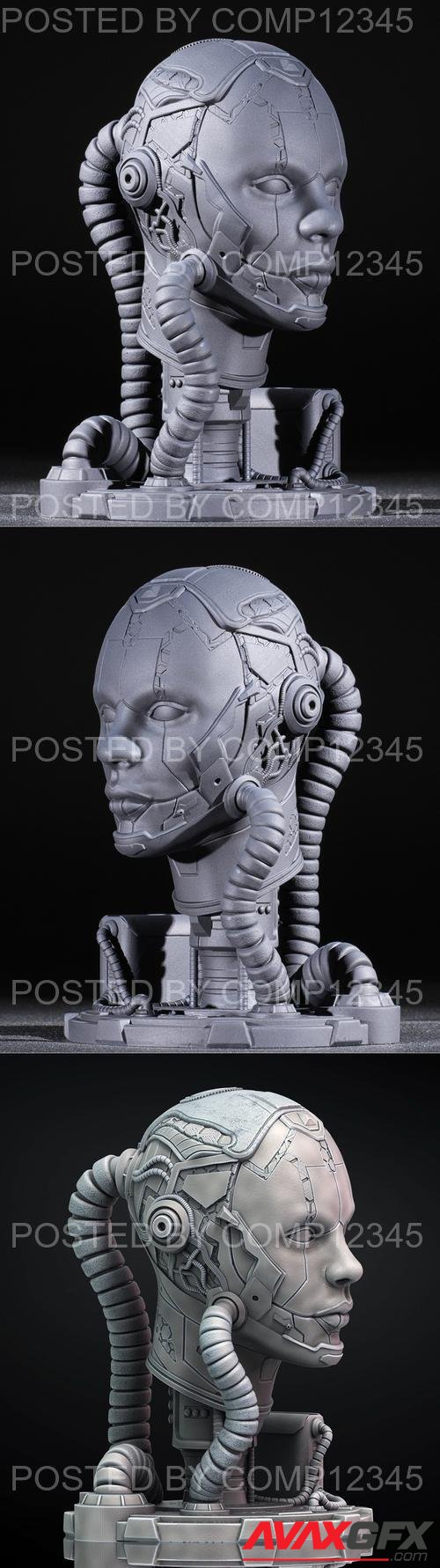 Cyborg 3D Print