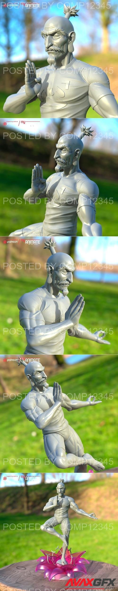 Netero from HunterxHunter - myAnimate 3D Print