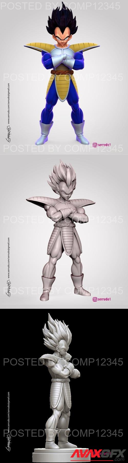 Vegeta by Serrudo 3D Print