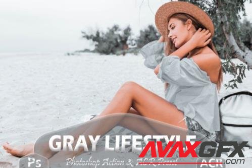 12 Gray Lifestyle Photoshop Actions And ACR Presets, Silver  - 2584244