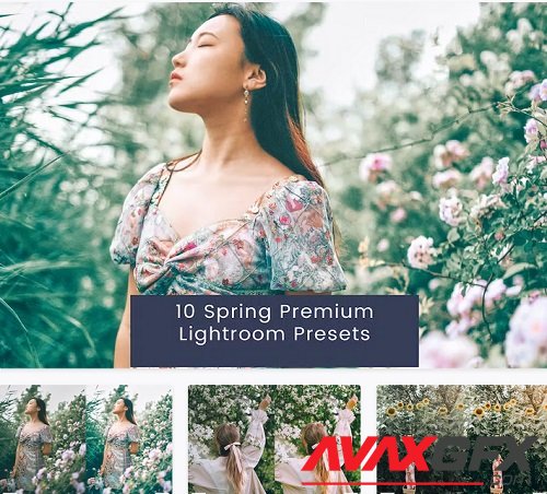 10 Spring Premium Lightroom Presets - 4DTQFL3