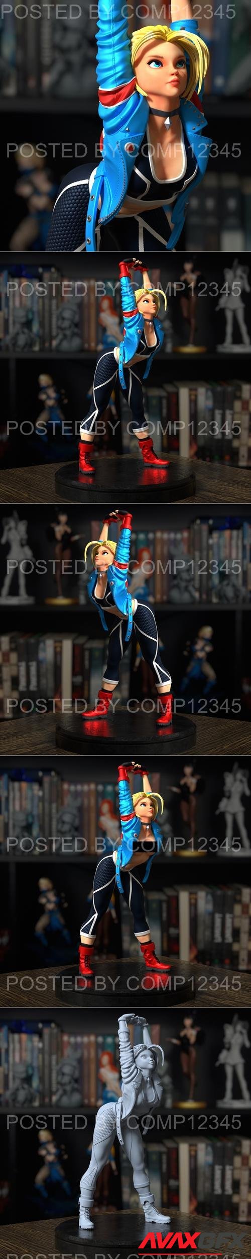 Messias3D Figure - Cammy 3D Print