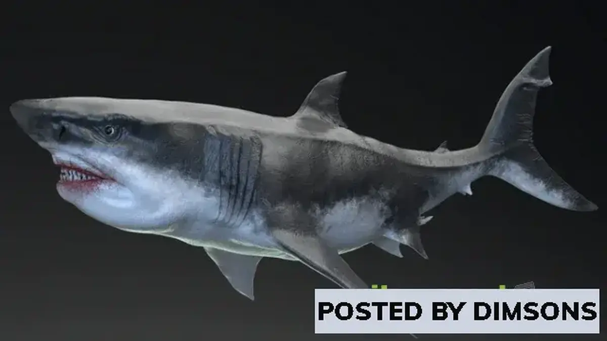 Unreal Engine Characters MEGALODON - Sea Monster Series 5 v4.26-4.27, 5.0-5.1
