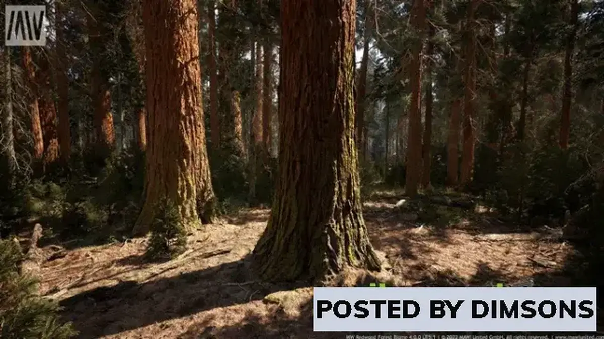 Unreal Engine Environments MW Redwood Trees Forest Biome v4.1.0 (5.1)