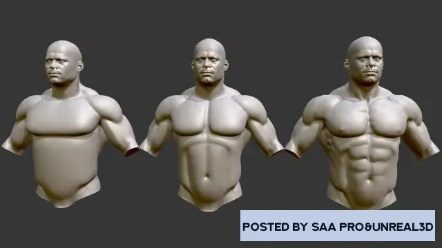 Sculptures Sculpt Steps - Male Torso Anatomy