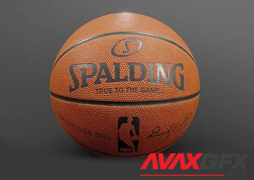 Sports, entertainment Basketball NBA Spalding PBR