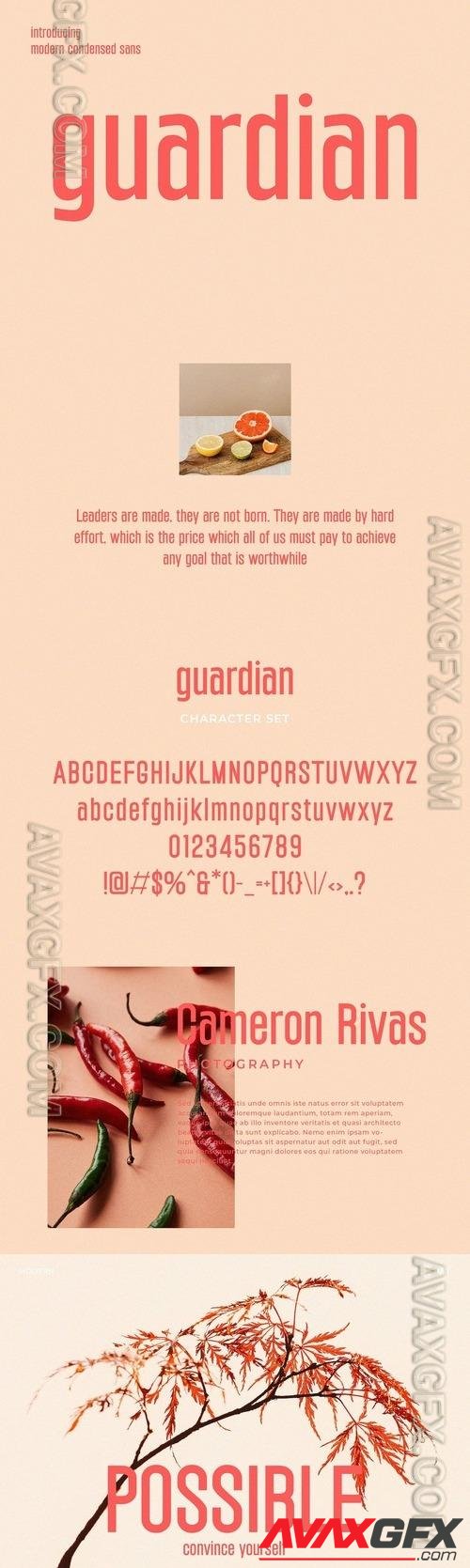 Guardian - Modern Condensed Sans Font