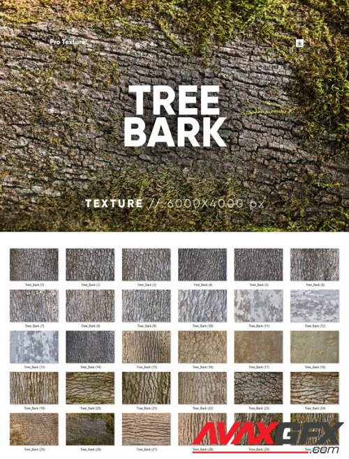 30 Tree Bark Textures HQ - 17648810