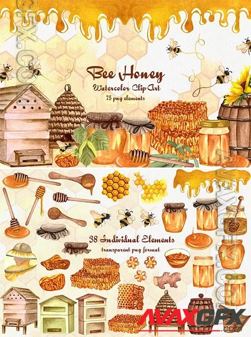 Honey Watercolor Clipart [PNG]