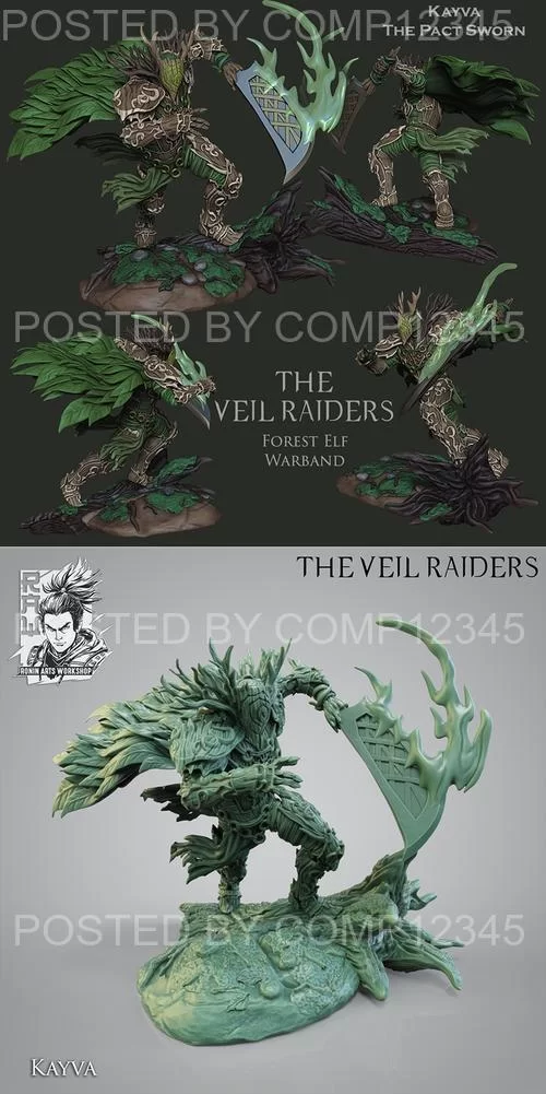 3D Print Model - Raiders Kaiva