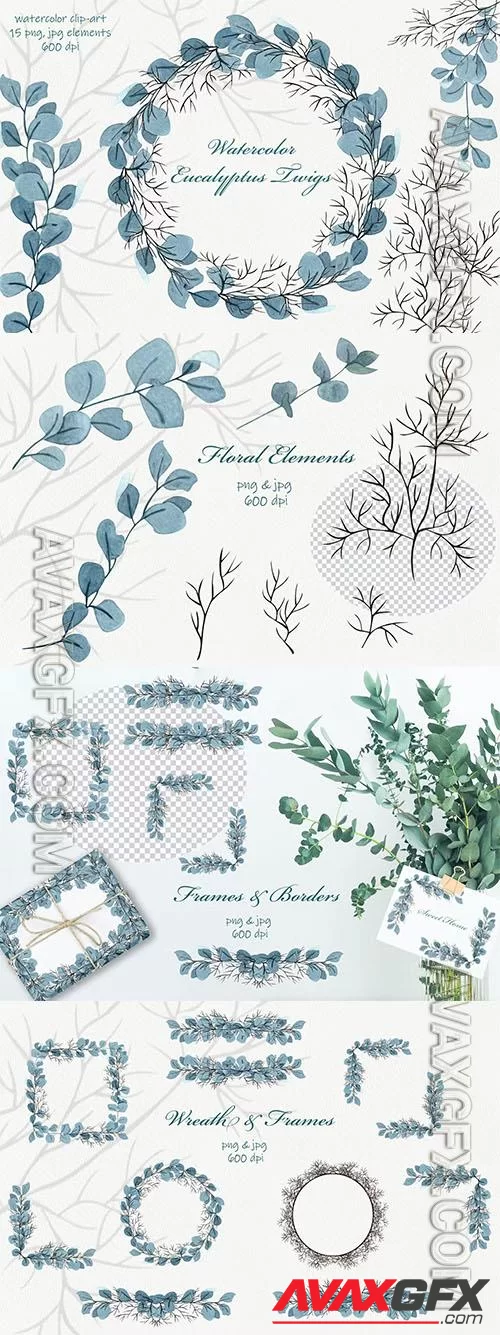 Watercolor Eucalyptus Clipart [PNG]