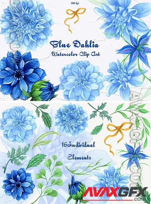 Blue Dahlia Watercolor Clipart [PNG]