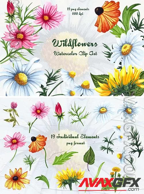 Wildflowers Watercolor Clipart [PNG]