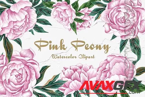 Peony Watercolor Clipart [PNG]