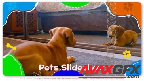 Welcome Pets World 46298871 [Videohive]