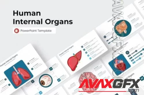 Human Internal Organs PowerPoint Template