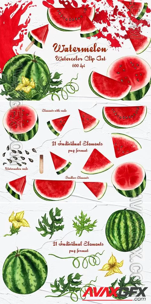 Watermelon Watercolor Clipart [PNG]