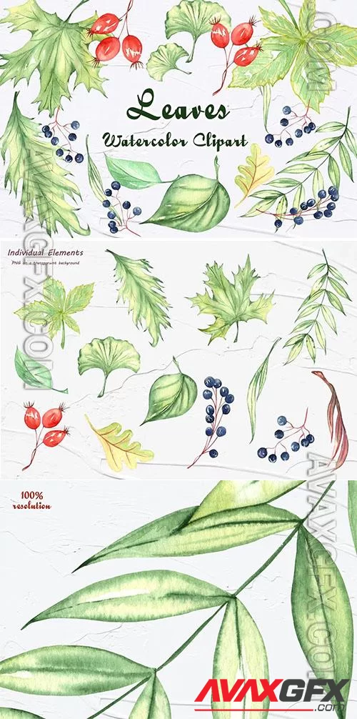 Green Leaves Watercolor Clipart [PNG]