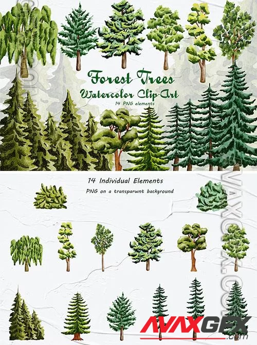 Forest Trees Watercolor Clipart [PNG]