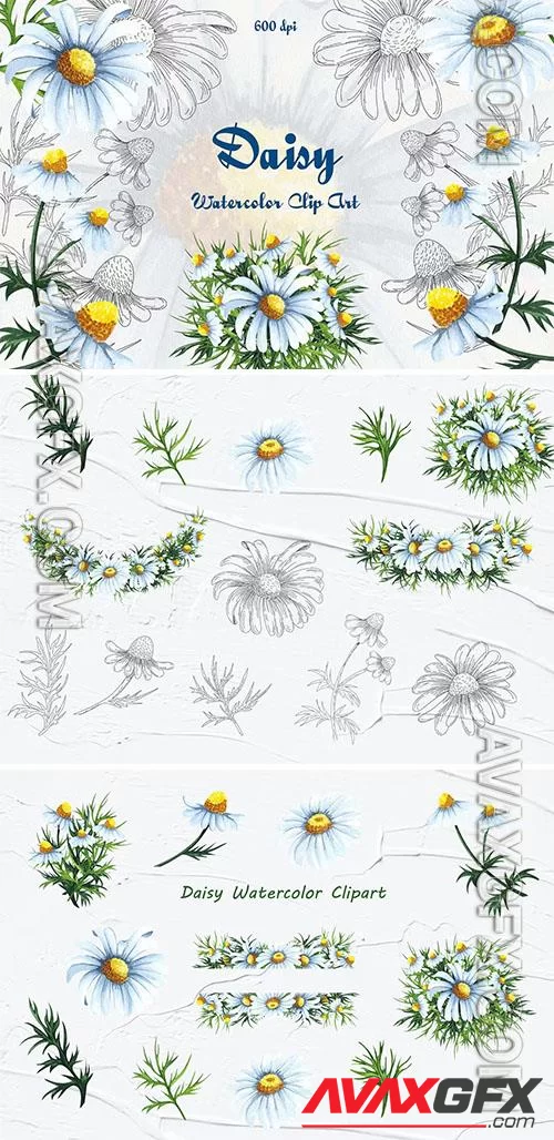 Daisy Watercolor Clipart [PNG]