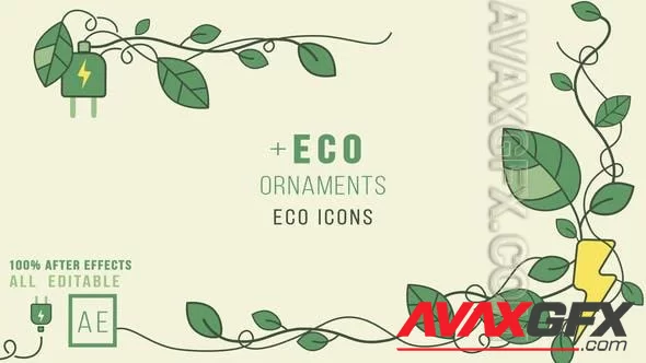 Eco Icons plus Ornaments 47052457 [Videohive]