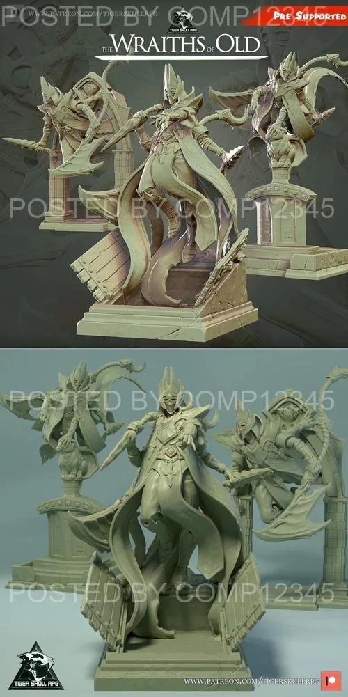 3D Print Model - Wraiths of Old