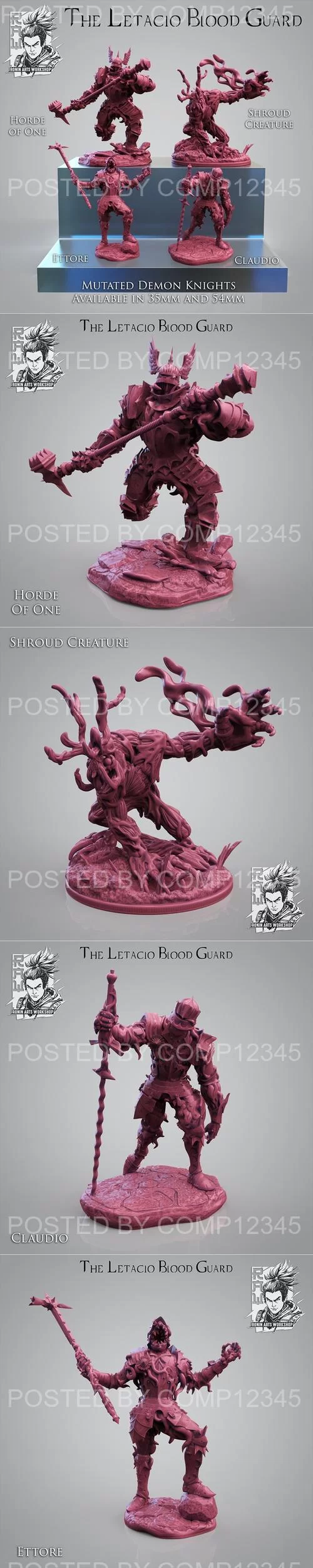 3D Print Model - Ronin Arts Workshop - The Letacio Blood Cuard