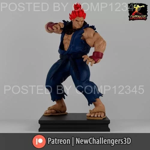 New Challengers - Akuma 3D Print