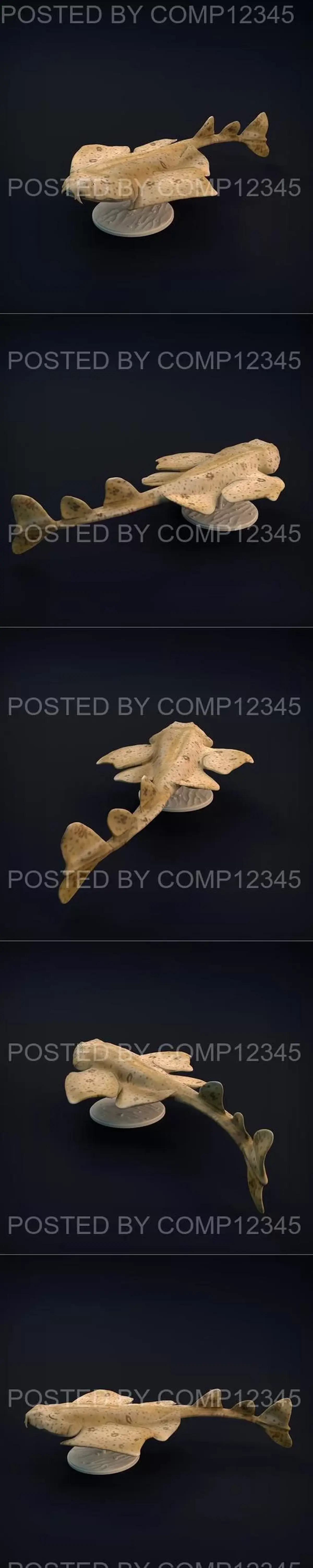 3D Print Model - Angel Shark