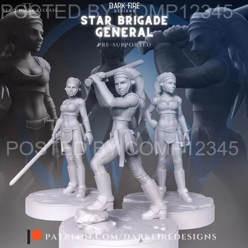 Star Brigade General 3D Print