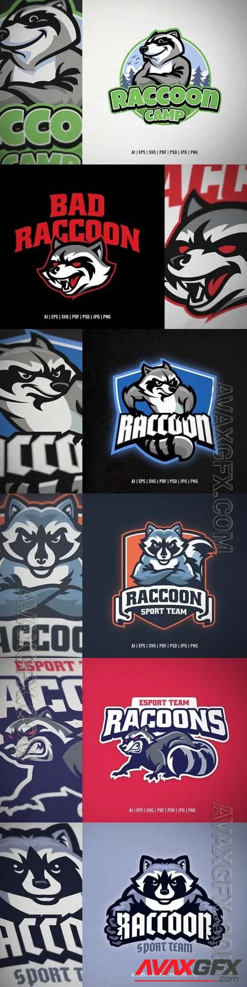 Raccoon Sport and Esport Style Logo