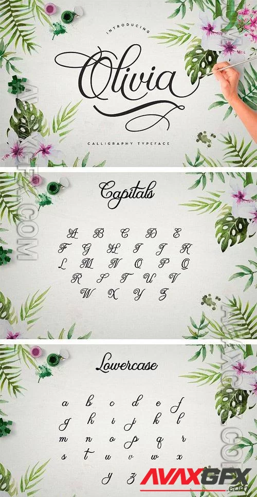 Olivia Script - Font Download