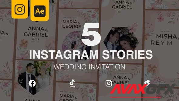 Wedding Invitation Instagram Stories 5 in 1 46807235 [Videohive]