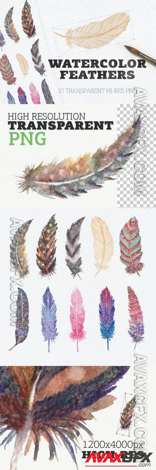 Watercolor Feathers