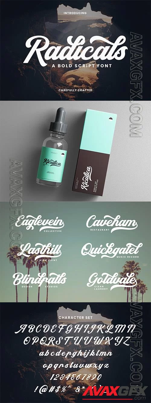 Radicals - A Bold Script Font