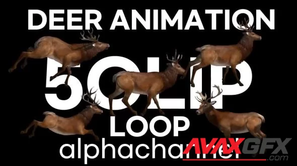 MA - Deer Animation Loop Pack 1503239