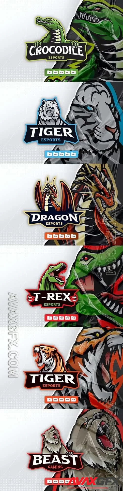 White tiger, t-rex dinosaur, tiger, grizzly bear, dragon, crocodile, mascot logo design