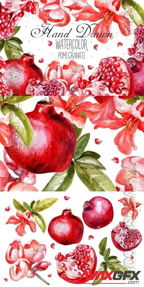 Beautiful Watercolor Pomegranates