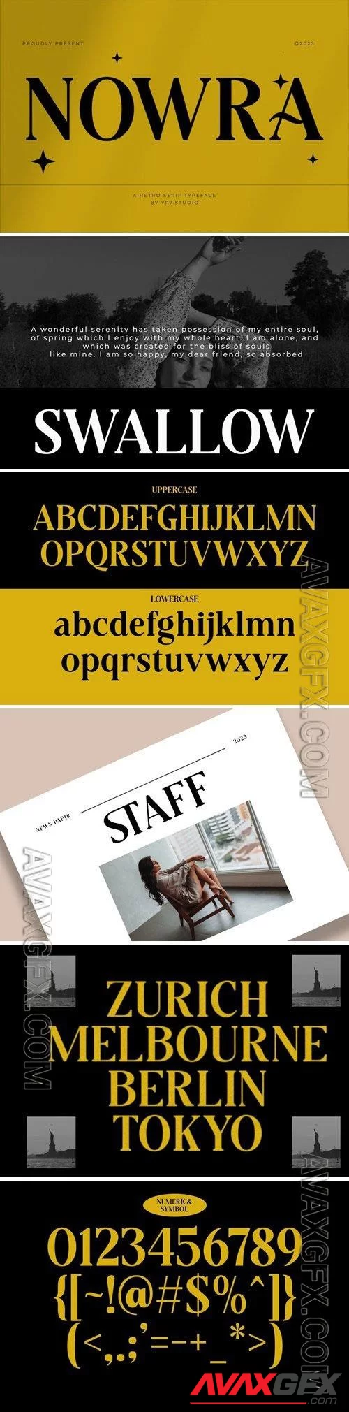 Modern Luxury Serif Font [OTF]